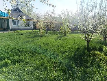 Продажа коттеджей и домов: Продаю дом в сокулуке верхняя зона (спальный район😁 тихо и уютно) — 32