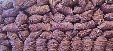 кара кой: Мака(Жүгөрү)сатылат,Ош шаарында,Жакшы кургаган капталган даяр жакшы — 4