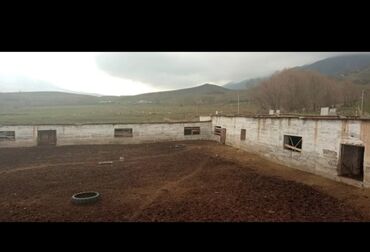 Сельхоз предприятия: Продаётся кашара Иссык-Кульский район село Ананьево. Общая территория at lalafo.kg — 7 Сельхоз предприятия: Продаётся кашара Иссык-Кульский район село Ананьево. Общая территория — 7