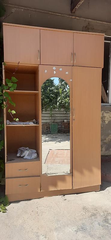 standing mirror: Шкаф-купе/гардеробный модуль из ЛДСП в цвете светлый бук с зеркалом — 1