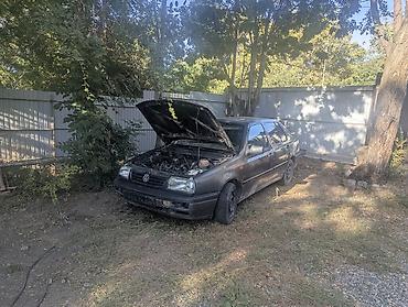 Volkswagen: Volkswagen Vento: 1994 г., 1.9 л, Дизель, Седан — 1