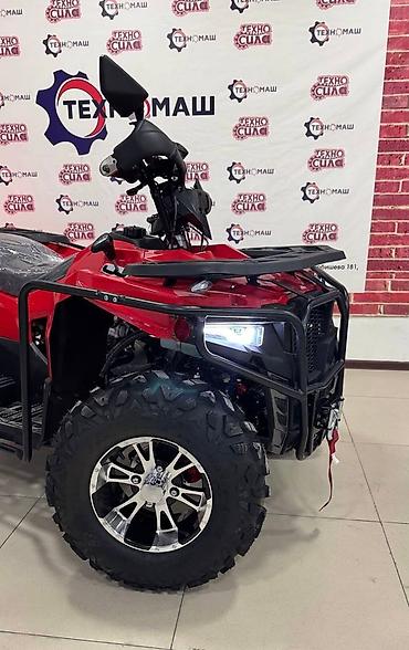 Квадроциклы: Квадроцикл Бензин, 320 куб. см, Взрослый — 6
