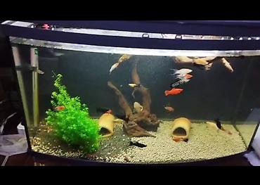 zavod akvarium: Zavod akvariumu Tetra firmasi 75x35x40 hava filteri qizdiricisi işigi — 1