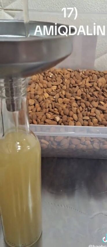 yonca toxum: Tam tebii Acı Ərik Yağı B17 vitamini ilə zəngindir, onkoloji