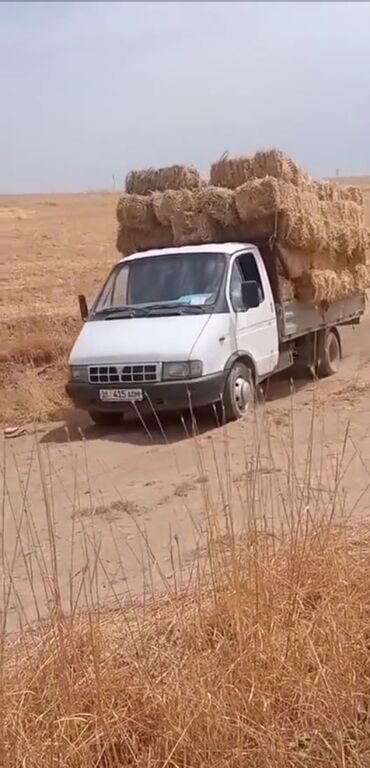 хендай портер автомат: Hyundai : 2002 г., 2.4 л, Механика, Бензин, Пикап