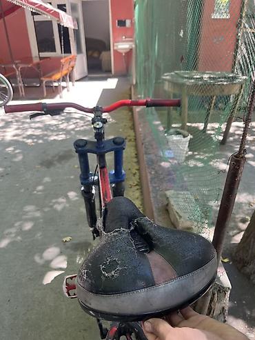 audio kasetler: Məhsul: Dağ/şosse qarışıq tipli velosiped – Olympia markası, tam — 1