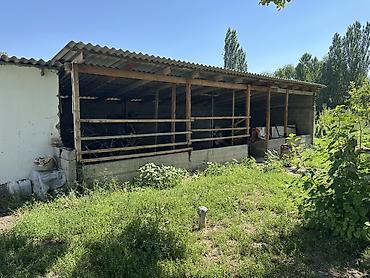 частные дома: Срочно продаю частный дом Общий площадь 27,5сотак 2 спальный 1хол 1 — 10