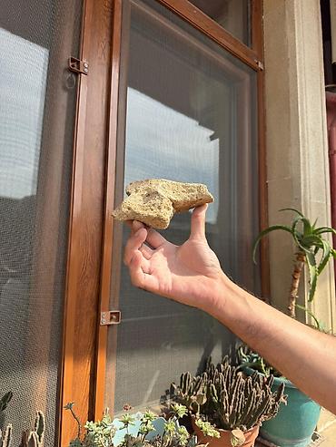 Аквариумные аксессуары и принадлежности: Akvarium daşları akanın içinənn çıxmadı toplam 18-19 klo bəzəkli — 7
