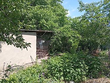 Продажа коттеджей и домов: Продаем дом 🏠 с двумя участками земли. Две красные книги. ✓Торг  — 10