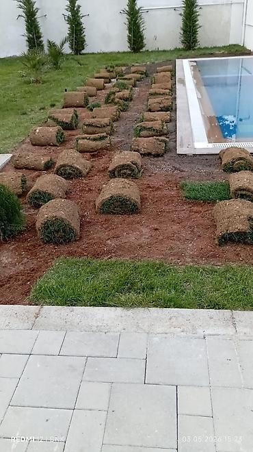 Torf: Təbbi qazon danimarka enli yarpaq çatrlma xidməti,qurasdrma cidmeti — 6
