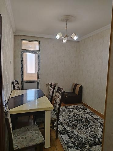 пальма цена: Salam mənzil xırdalanda Riyad ticarət mərkəzi ilə üzbə üz Abşeron — 5