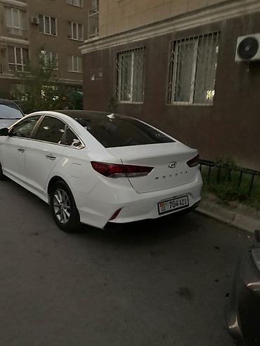 шторка соната: Hyundai Sonata: 2021 г., 2 л, Автомат, Газ, Седан — 5