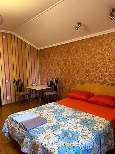 Посуточная аренда квартир: 1 комната, Интернет, Wi-Fi — 4