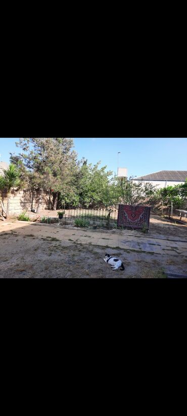 Həyət evləri və villaların satışı: 4 otaqlı, 180 kv. m, Orta təmir -da lalafo.az — 12 Həyət evləri və villaların satışı: 4 otaqlı, 180 kv. m, Orta təmir — 12