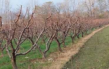 Уборка территории: Уборка территории — 10