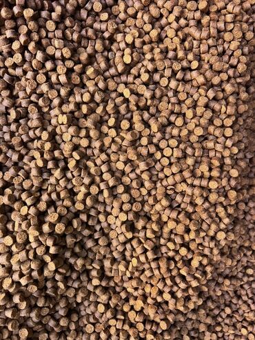 речные раки: Корм для рыбы Fatty Fish — гранулированный, профессиональный. -