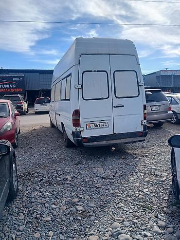transporter multivan: Mercedes-Benz Sprinter, высокий длиннобазный фургон (макси). Кузов: - — 4