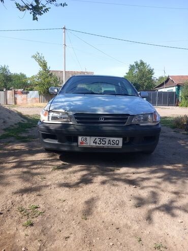 машина алам арзан: Toyota Carina: 1997 г., 1.8 л, Автомат, Бензин, Седан