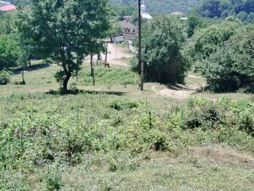 Torpaq sahələrinin satışı: Tikinti — 11