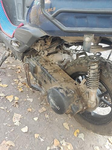 tank moped: ЧИТАЙТЕ ВНИМАТЕЛЬНО ТОРГА НЕТ, НА ПРЕДЛОЖЕНИЕ С ТОРГОМ ДАЖЕ НЕ ОТВЕЧУ — 6