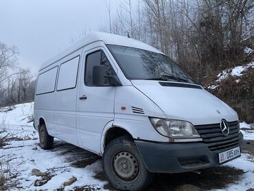 Mercedes-Benz: Mercedes-Benz Sprinter: 2002 г., 2.2 л, Механика, Дизель, Бус