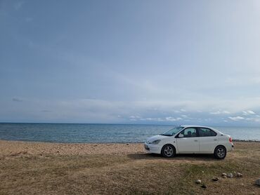 тайота терцел 1987: Toyota Prius: 1999 г., 1.5 л, Робот, Гибрид, Седан