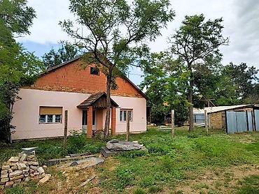 Kupujem kuću: Prodajem salaš sa velikim voćnjakom u Novom Kneževcu, blizu Mađarske — 1