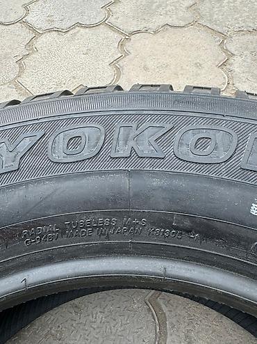 60: Шины 285 / 60 / R 18, Лето, Новый, Комплект, Внедорожные (АТ/МТ), Япония, Yokohama — 2