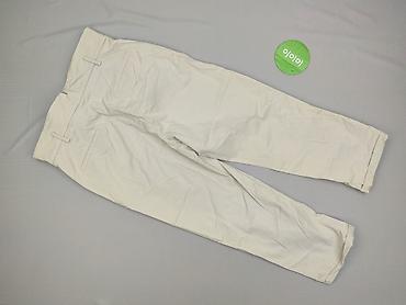 maxx stan: Massimo Dutti, Брюки жіночі, розмір S — 3