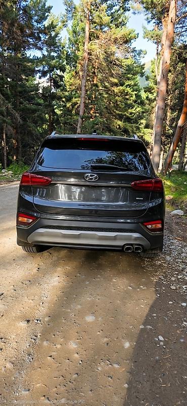 santa fe 2010: Hyundai Santa Fe: 2019 г., 2.2 л, Автомат, Дизель, Кроссовер — 5