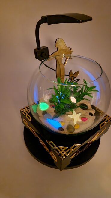 Akvariumlar: Yumru akvarium, Balıqlarla birlikdə, 3 l, Pulsuz çatdırılma — 8