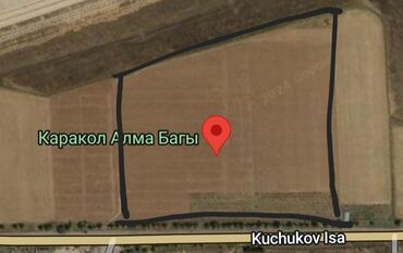 участок город балкчы: 1100 соток, Для сельского хозяйства, Красная книга, Договор купли-продажи