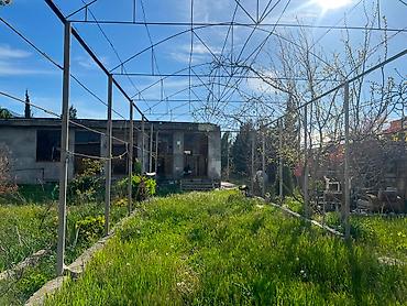 Torpaq sahələrinin satışı: 25 sot — 18
