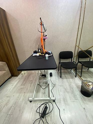 K/t heyvanları və malları: Elektrikli qroominq stolu - İt və pişiklərin baxımı üçün peşəkar — 2