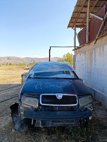 не пригодился: Skoda Fabia: 2001 г., 1.4 л, Бензин, Универсал — 1