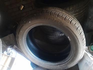 bfg: Летние шины BFGoodrich Advantage Размер: 225/55 R18 - Ассиметричный — 3