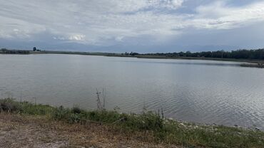 Сельхоз предприятия: Продаю Кошара, 100 соток, Действующий, Скважина, Холодная вода, Электричество — 9