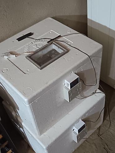 inkubator cucesi: Bütün növ quşlar üçün — 4