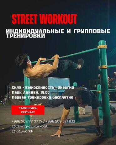 работа помощник повора: Тренер