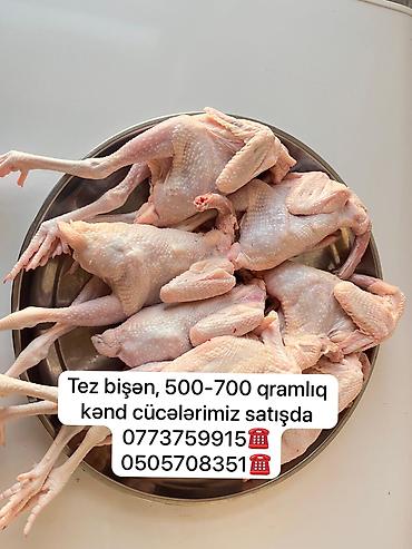 et xengeli: Kənd toyuğu Toyuq Bütöv, Pərakəndə, Ödənişli çatdırılma — 3