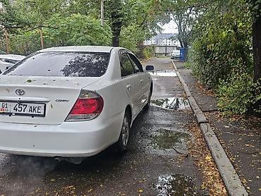 camry 55 exclusive: Toyota Camry: 2002 г., 2.4 л, Автомат, Бензин, Седан — 6