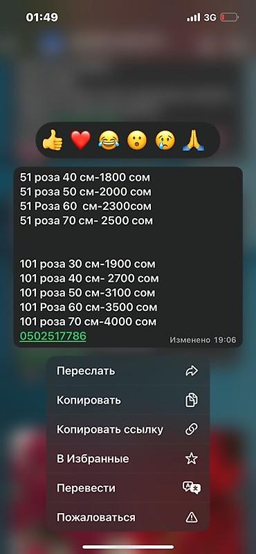 комнатные цветы бишкек: Букеты из роз — готовые сборки на 51 или 101 розу разных длин стебля — 1