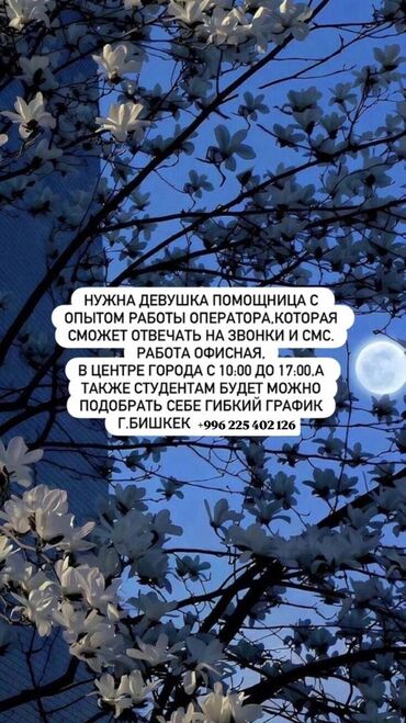 сниму офис: Требуется помощник оператора со знанием офисной работы, способный