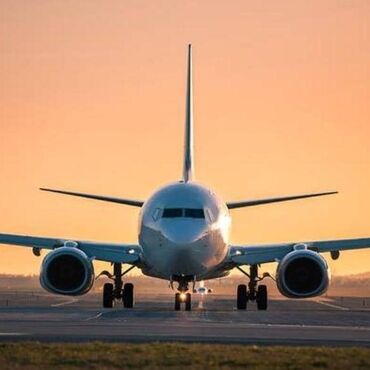 охранная система: ✈️✨ Ишеничтүү авиа билет ✨✈️ 👉 Бул билет — расмий катталган