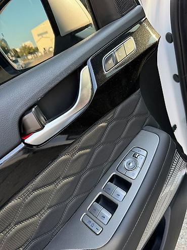 палисат: Hyundai Palisade: 2021 г., 2.2 л, Дизель, Кроссовер — 8
