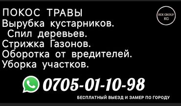 спортивный костюм лининг: Уборка территории, Уборка снега, Уборка двора и сада, Мойка фасада