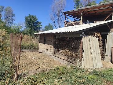 лстк дома: Продаётся одноэтажный дом с участком за высоким забором и распашными — 8