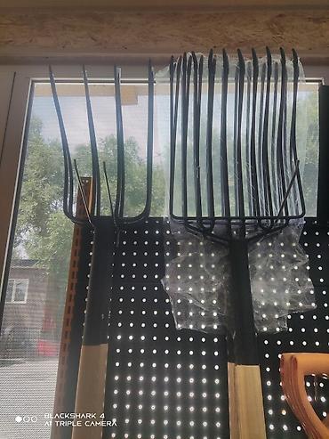 Вилы: Вилы, Платная доставка — 4