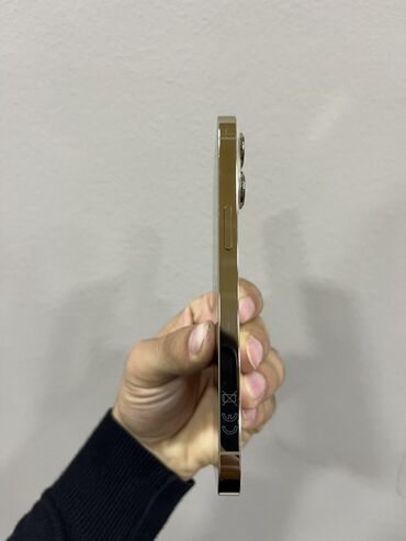 Apple iPhone: IPhone 13 Pro, 128 GB, Gümüşü, Simsiz şarj — 12