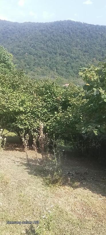 qala torpaq satılır: 18 sot — 6